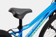 Cannondale Kids Trail 20 OS