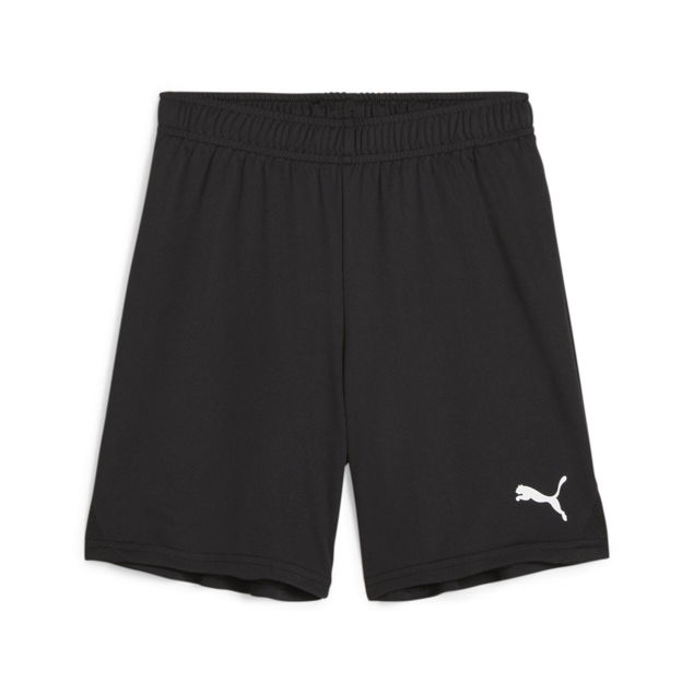 Puma  Teamgoal Shorts Jr 164