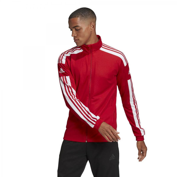 Adidas  Sq21 Tr Jkt XS