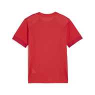 Puma  Teamgoal Matchday Jersey Jr 164