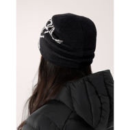 ArcTeryx  Bird Head Toque NA